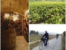 Tour vinícola en bicicleta y cata de vinos, ruta guiada por las viñas y las bodegas del Penedès (Catalunya)
